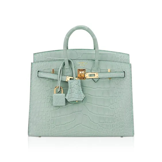 Limited Edition Birkin 20 Bag